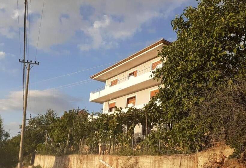 پانسیون Villa Balliu