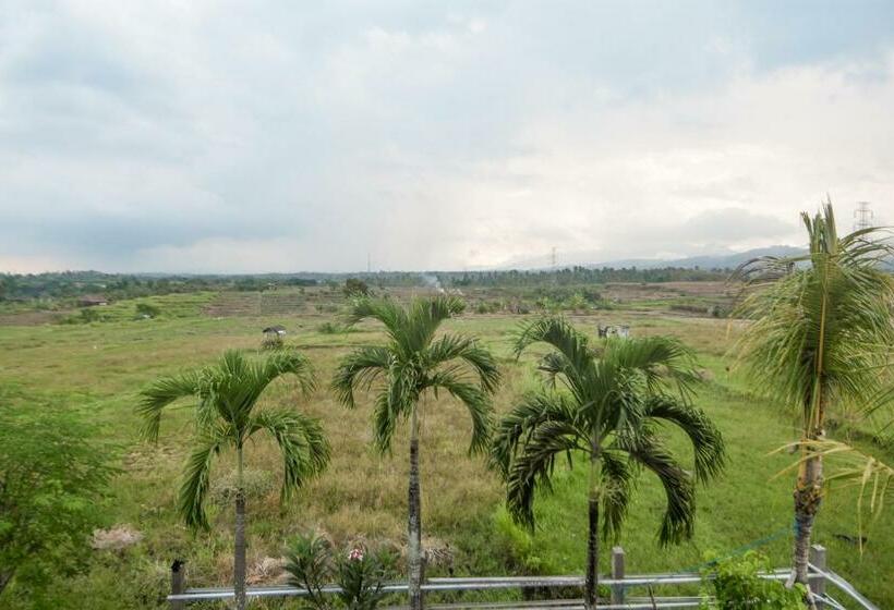 تختخواب و صبحانه Three Palms Surf & Stay Medewi