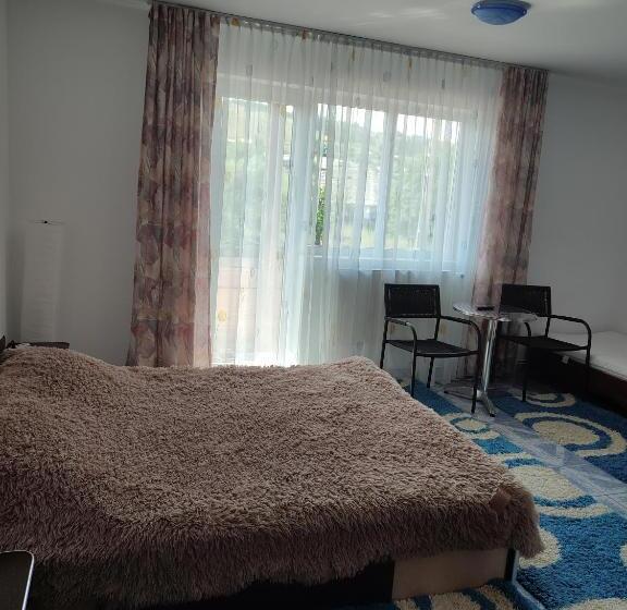 پانسیون Casa Irilen