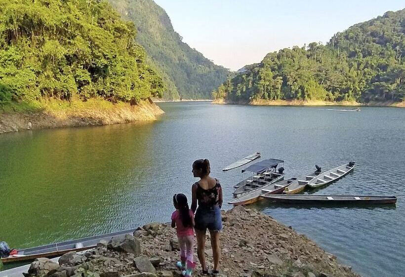 هاستل Mirador Amani