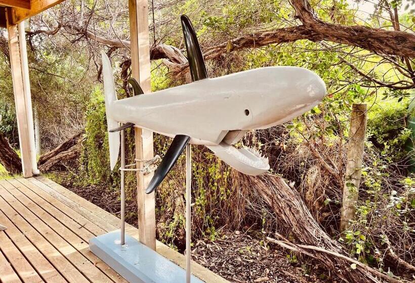 هاستل No 34 Where Nature Meets The Ocean Pet Friendly