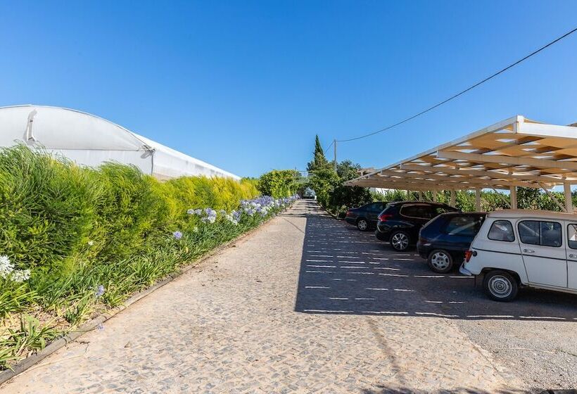 تختخواب و صبحانه Quinta Da Capelinha Agroturismo