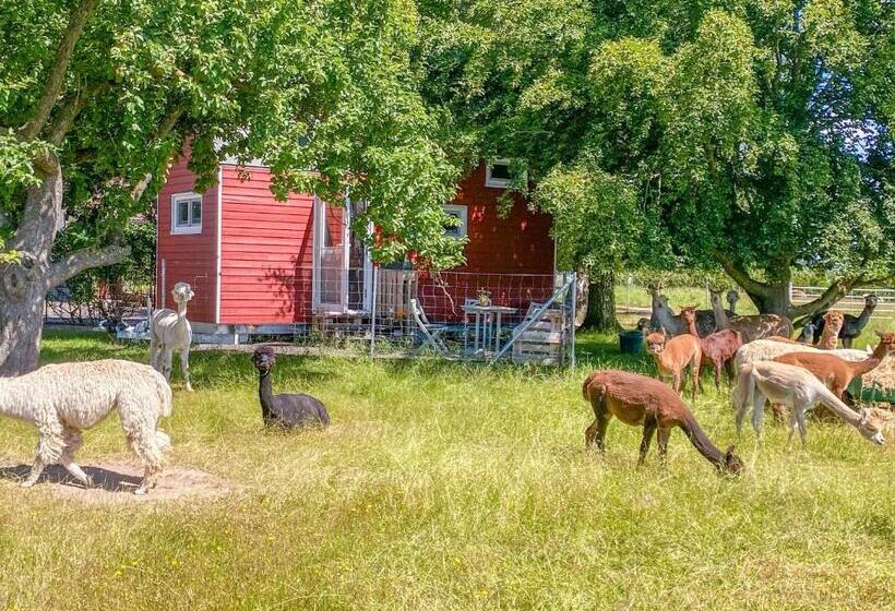 호텔 Tiny House Auf Der Alpaka Farm