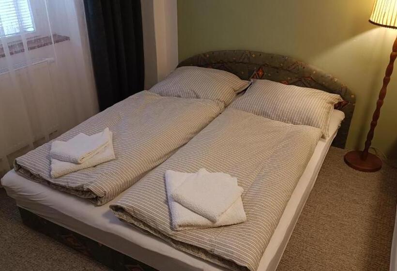 Пансион Apartmán Horní Slavkov Hodinářství