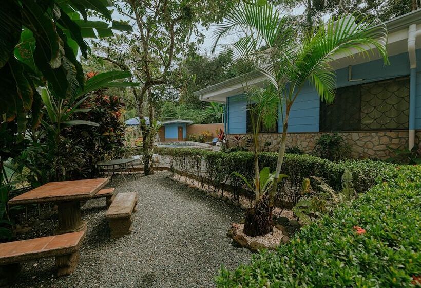 تختخواب و صبحانه Oasis Diverse Adult Retreat
