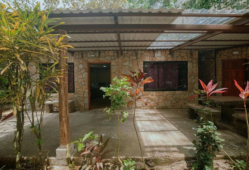 تختخواب و صبحانه Oasis Diverse Adult Retreat