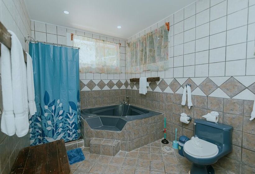 تختخواب و صبحانه Oasis Diverse Adult Retreat