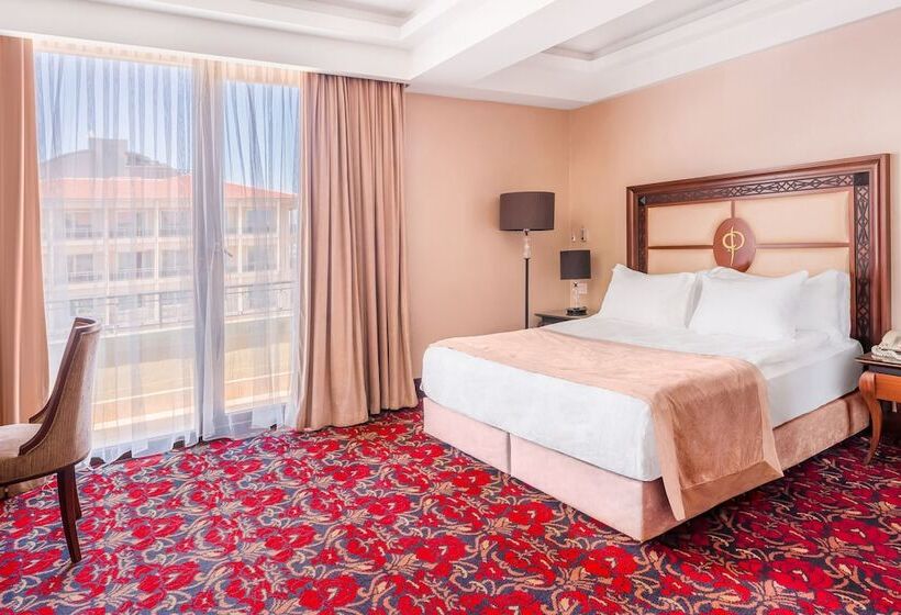 هتل Atatürk Palas Thermal Spa & Convention Center