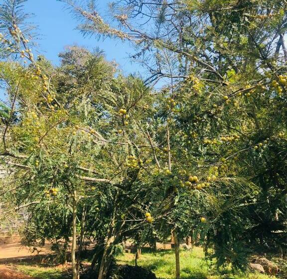 فندق The Tamarai Yelagiri