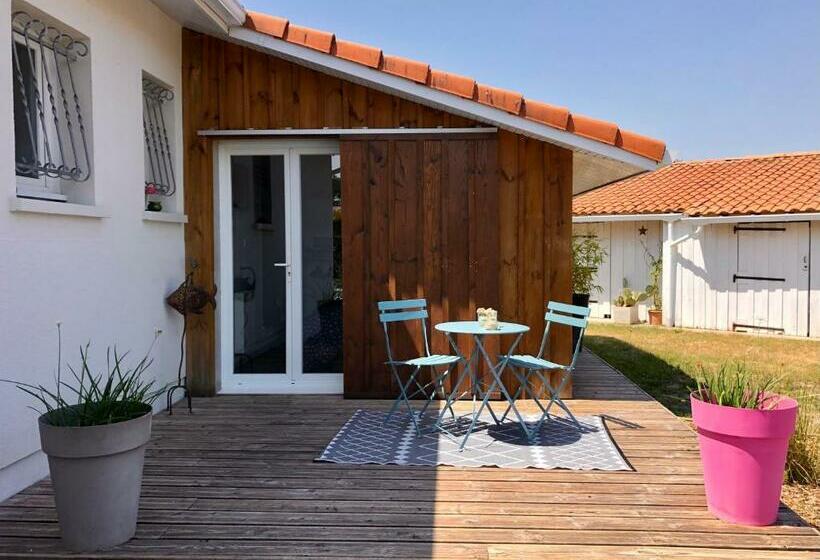 پانسیون Logement Indépendant Bassin D Arcachon