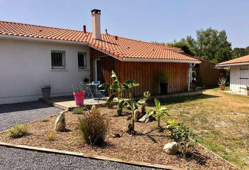پانسیون Logement Indépendant Bassin D Arcachon