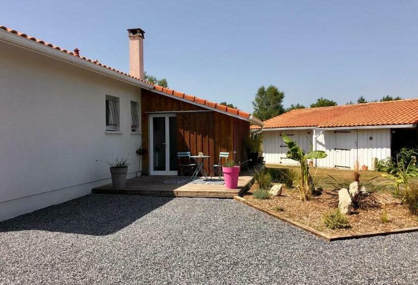 پانسیون Logement Indépendant Bassin D Arcachon