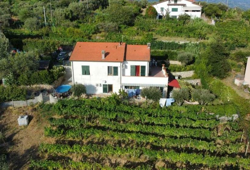 مبيت وإفطار In Vino Veritas