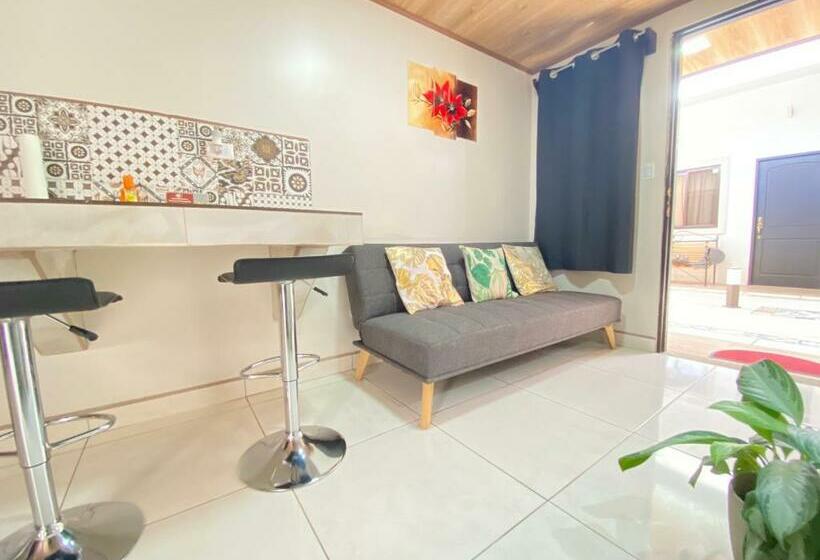 Paradise Apartment