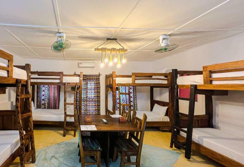 Shoki Shoki Hostel