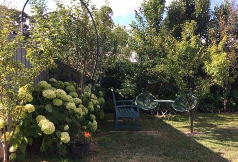 住宿加早餐  A Meadow