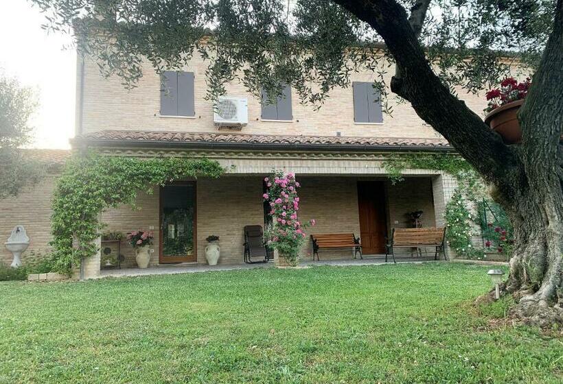 پانسیون Guest House Vagamondo