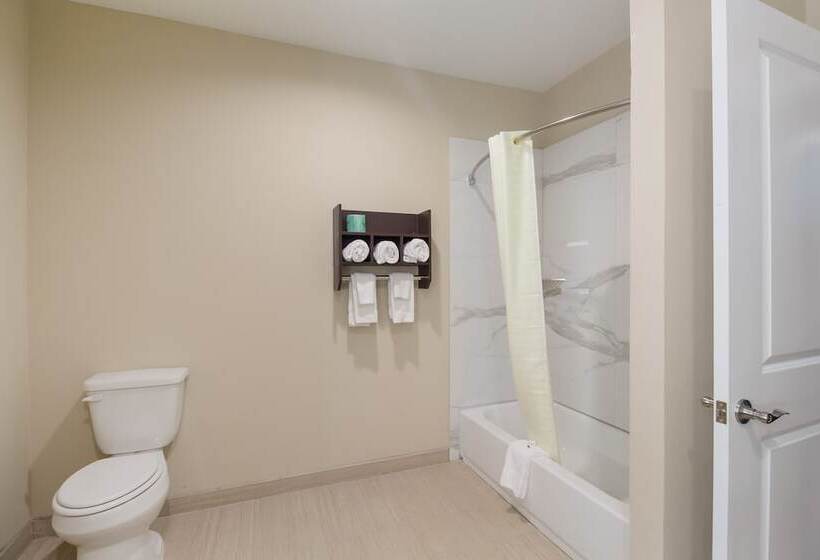 Отель Scottish Inns & Suites Hitchcock Santa Fe