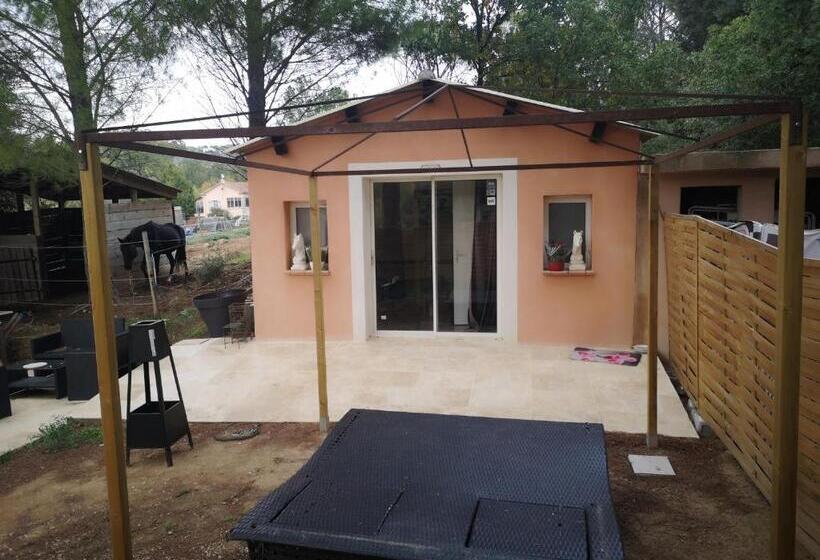 هتل Studio églantine
