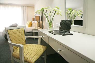 Best Luxurious Studio, City Center, 24 Hrs Power