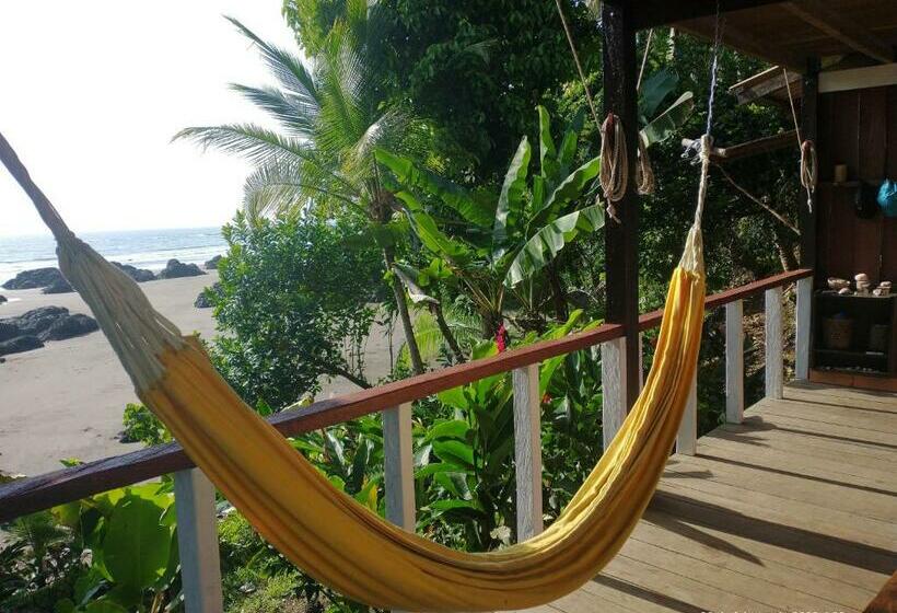 هاستل Casa Origen