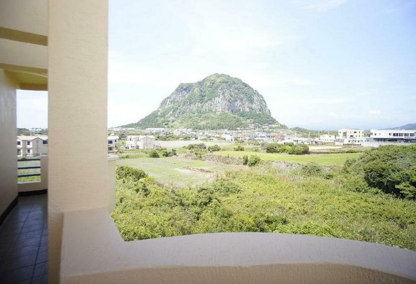 هاستل Ttottot Jeju Backpackers