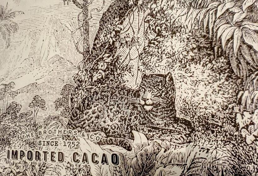 ベッドアンドブレックファースト L Oiseau Bleu Peacock