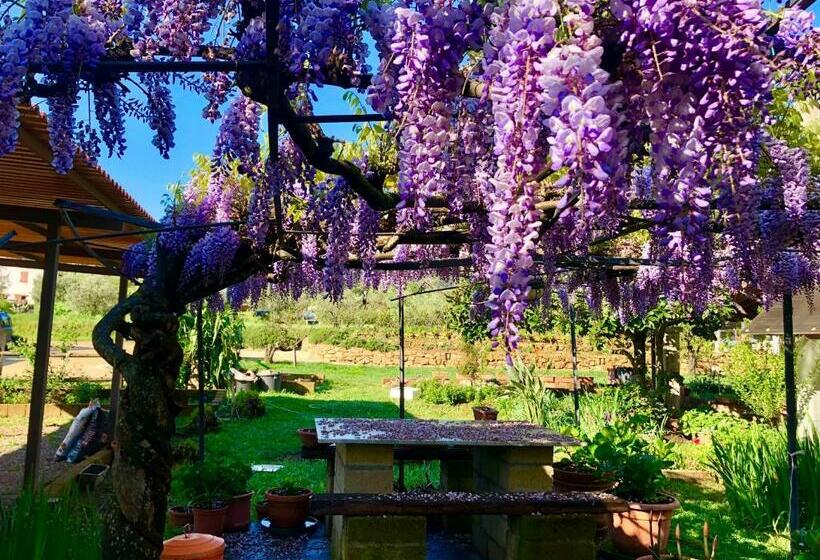 هتل Agriturismo Montefabbrello