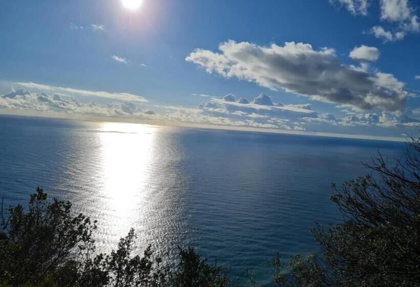 פנסיון Federico Ii   Rooms And Breakfast