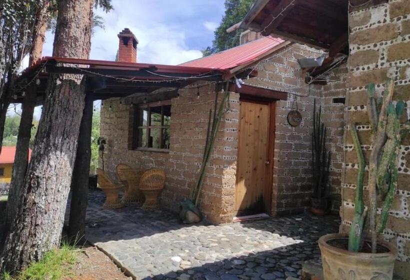 فندق Cabañas Los Cactus