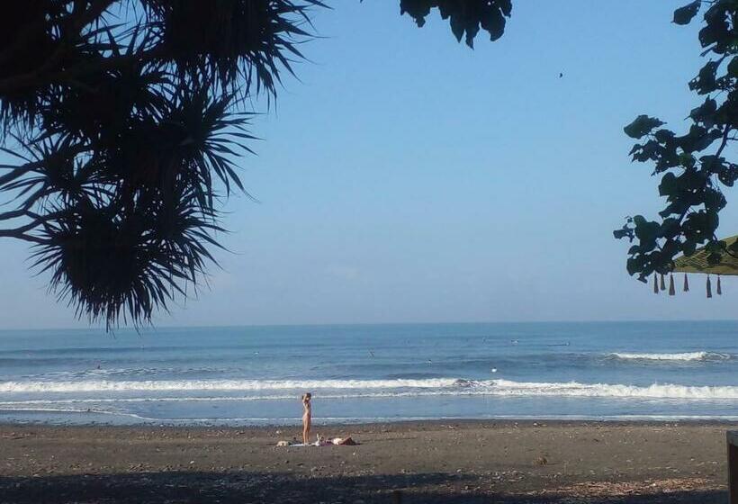 펜션 Medewi Good Vibes Surf&stay