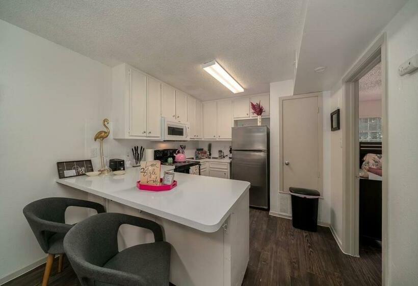 Austin   The Flamingo   Central Atx Vibes