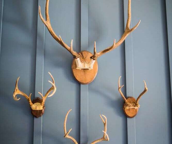 هتل Anglers Lodge