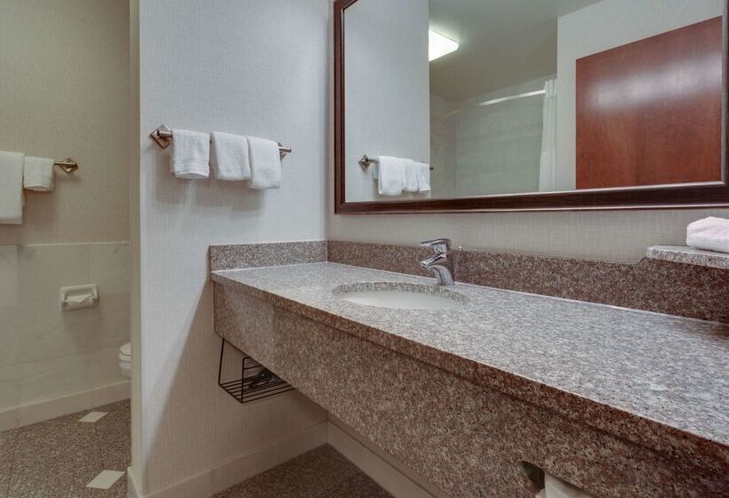 هتل Drury Inn & Suites St. Louis Forest Park