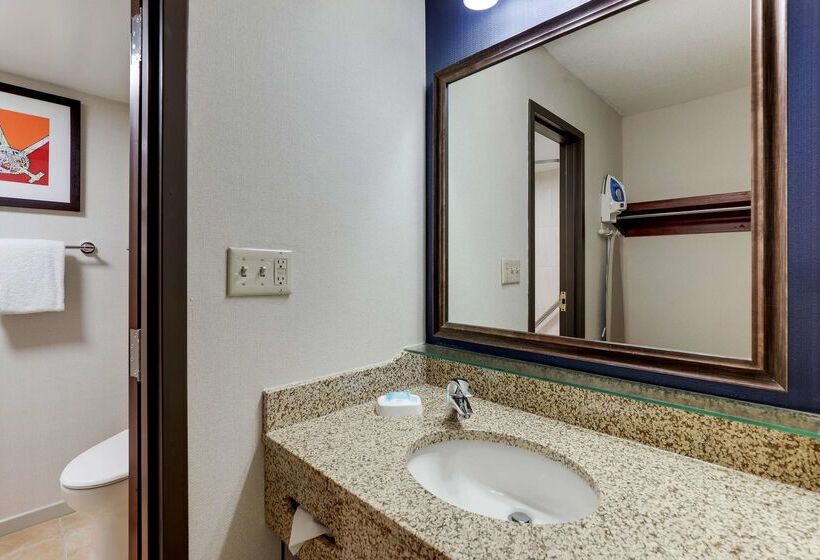 ホテル Drury Inn & Suites St. Louis St. Peters