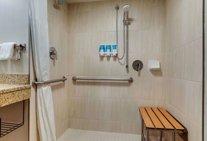 ホテル Drury Inn & Suites St. Louis St. Peters