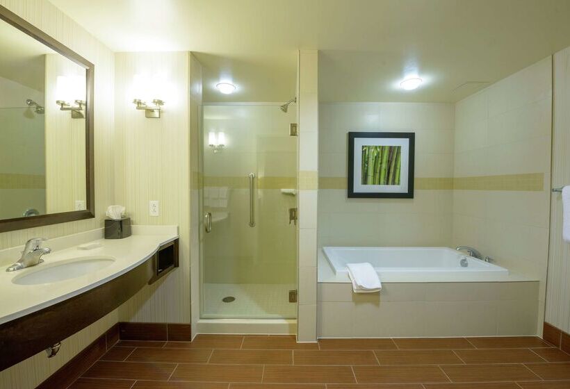 ホテル Hilton Garden Inn Exton / West Chester
