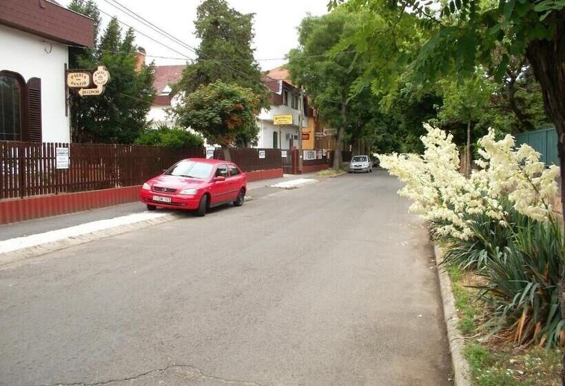 Fotos del hotel Palota:  12