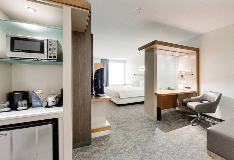 هتل Springhill Suites By Marriott Houston The Woodlands
