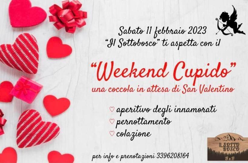 B & B Il Sottobosco