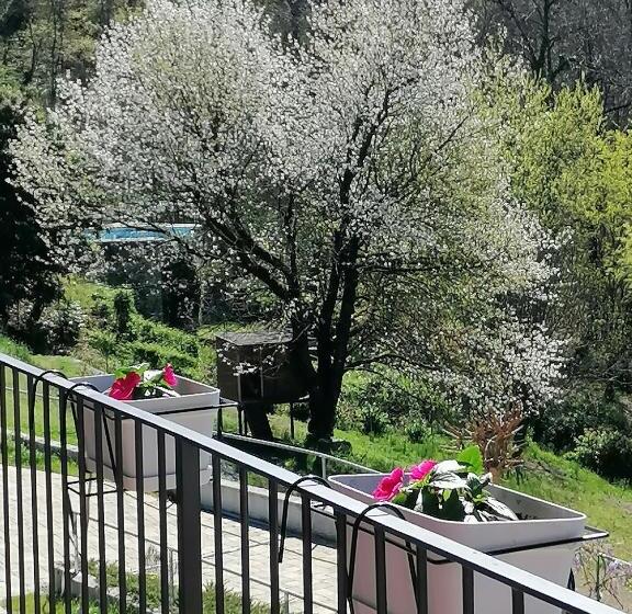 민박 Il Ciliegio Di Zoe