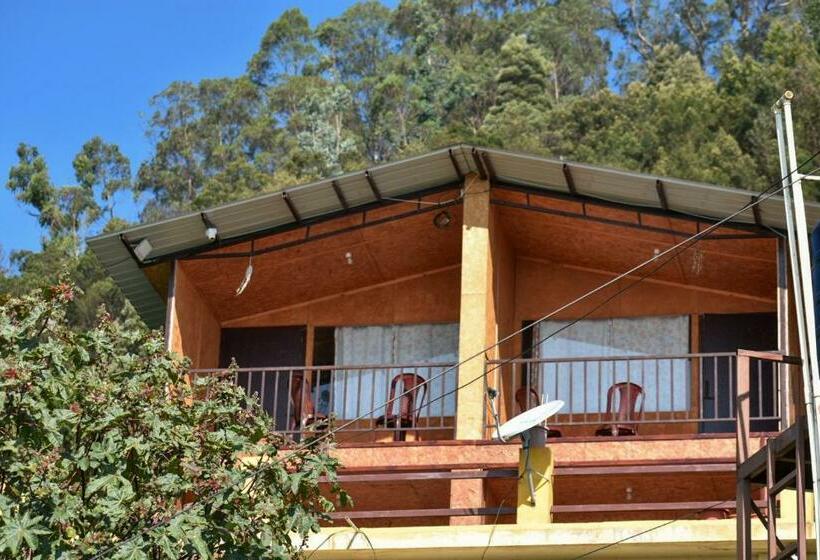 تختخواب و صبحانه Tycoon Wood Cabins