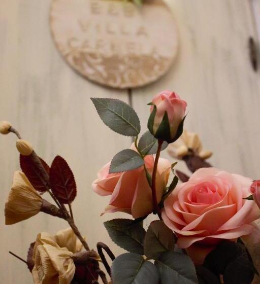 مبيت وإفطار Villa Carmela