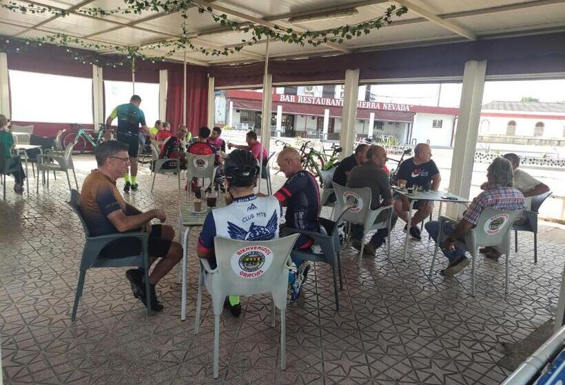 פנסיון Hostal Restaurante Bar Cafeteria La Melchora