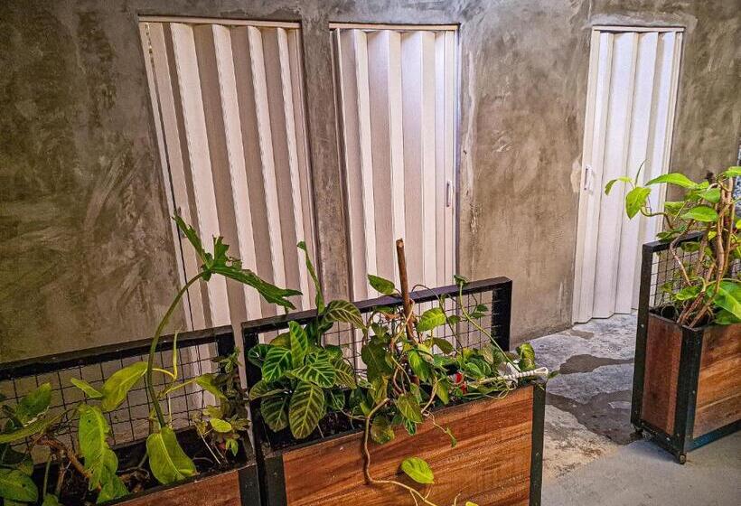 پانسیون Urban Hostal Bar
