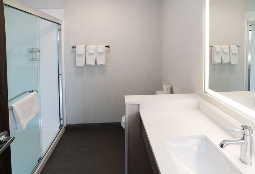 هتل Holiday Inn Express & Suites   Moose Jaw, An Ihg