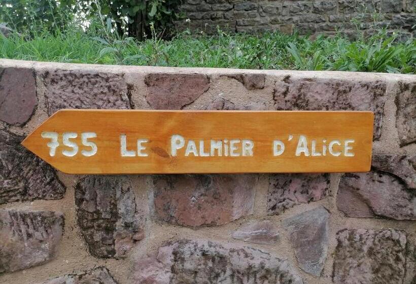 Bed and Breakfast Le Palmier D Alice
