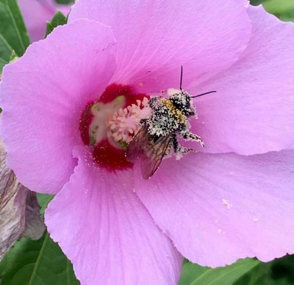 بنسيون Cà Del Prete Country Room By Cà Degli Ovi