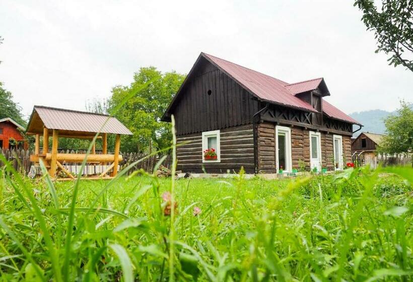 پانسیون Wild Traditional Bucovina