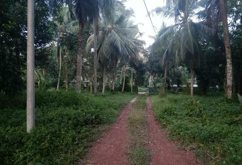 Green Cocovillage